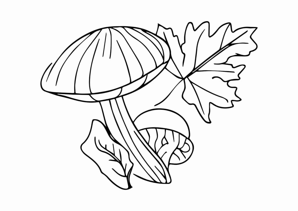 Fall Coloring Pages-19