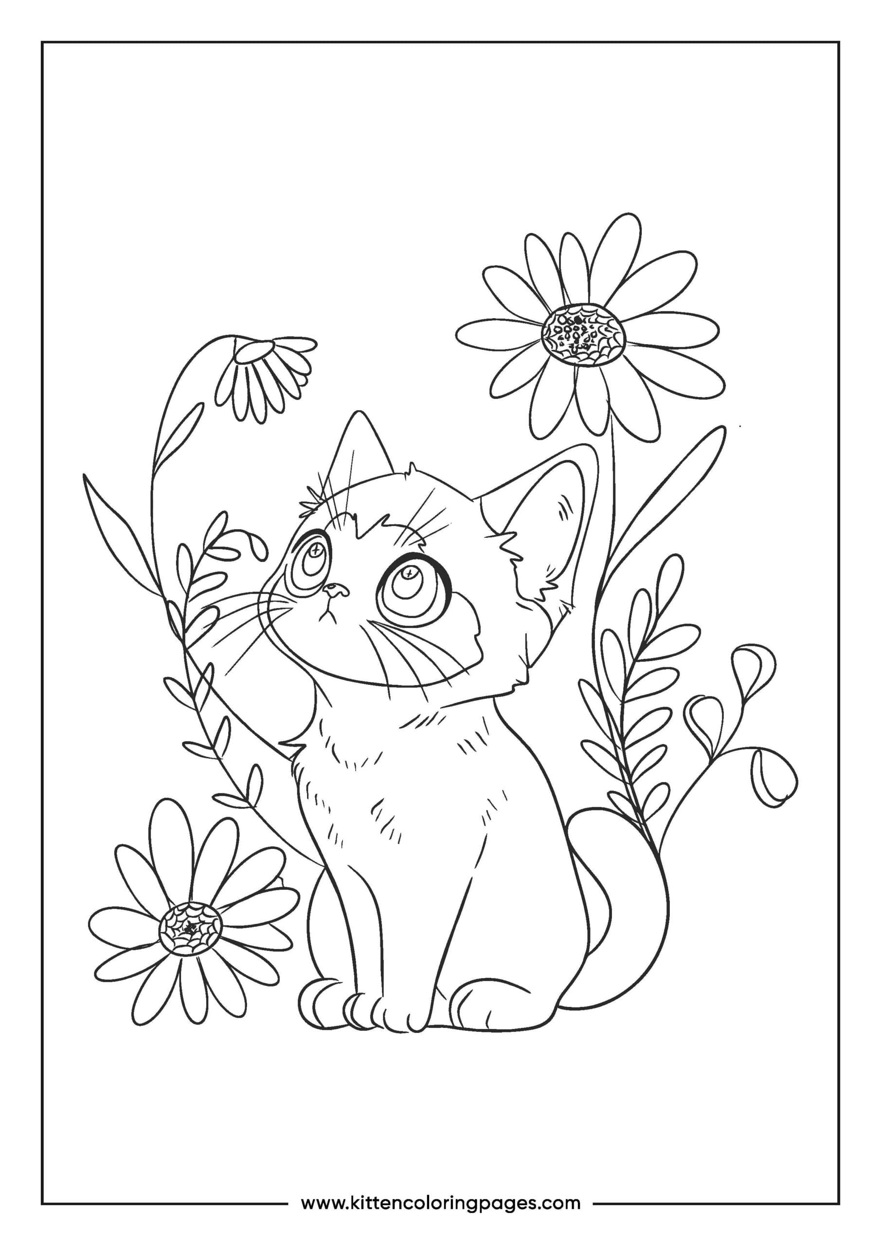cat coloring pages 11