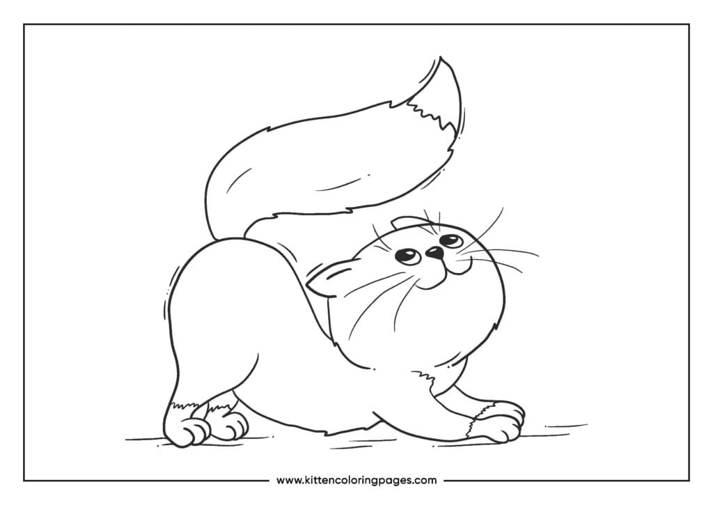 cat coloring pages 15