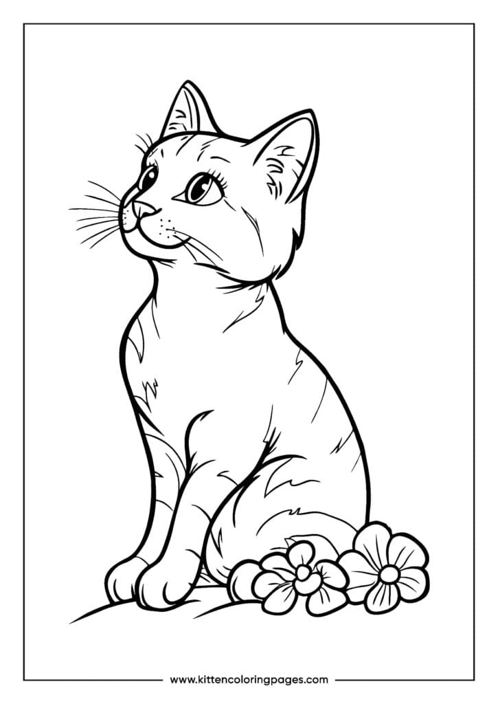 cat coloring pages 2