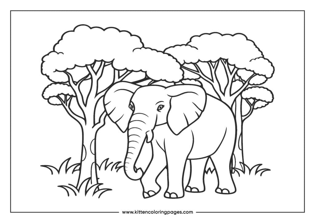 easy elephant coloring pages for kids 29