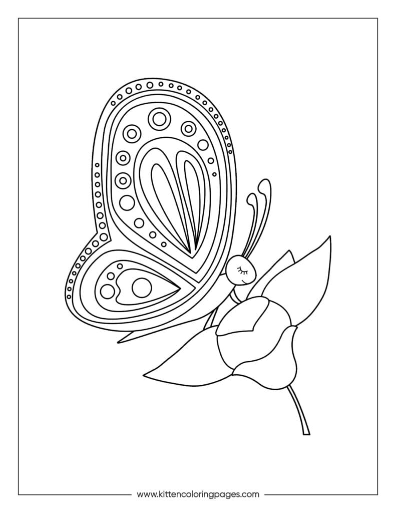 butterfly coloring pages 11