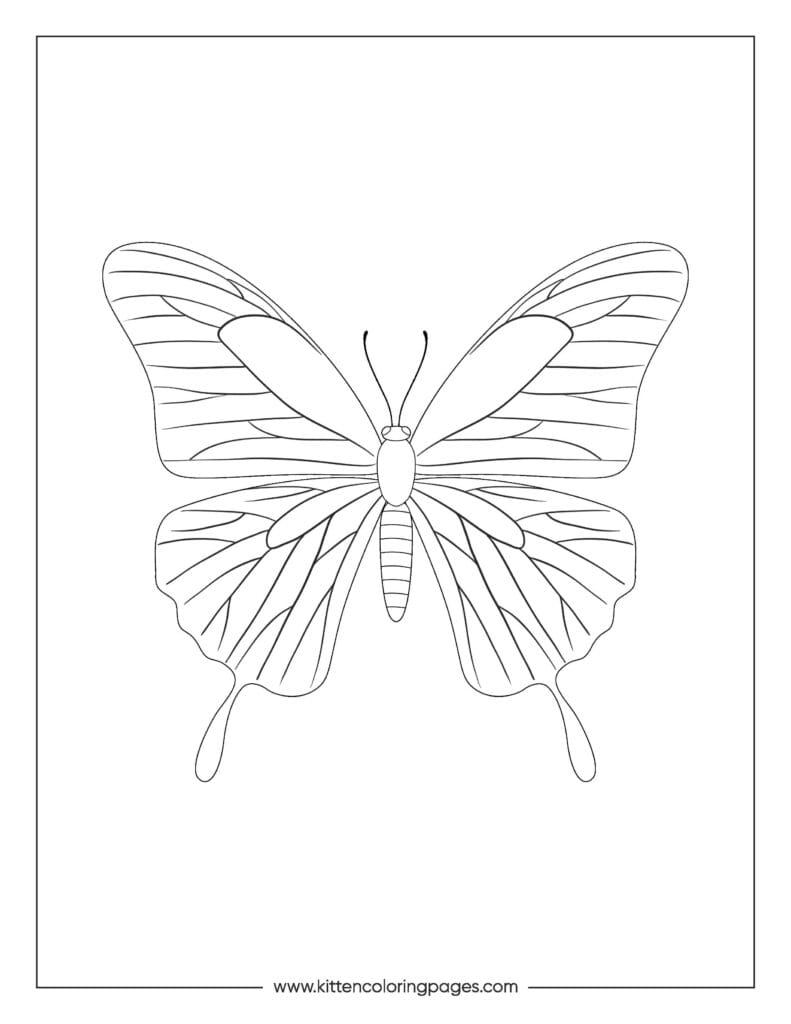 butterfly coloring pages 12