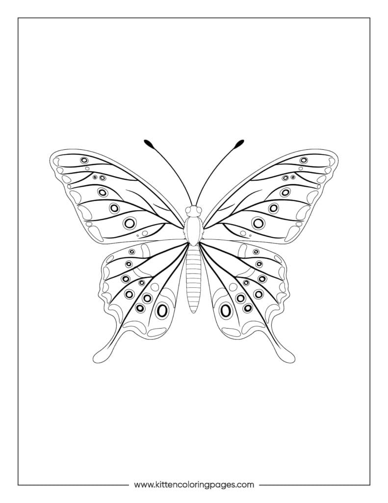 butterfly coloring pages 8