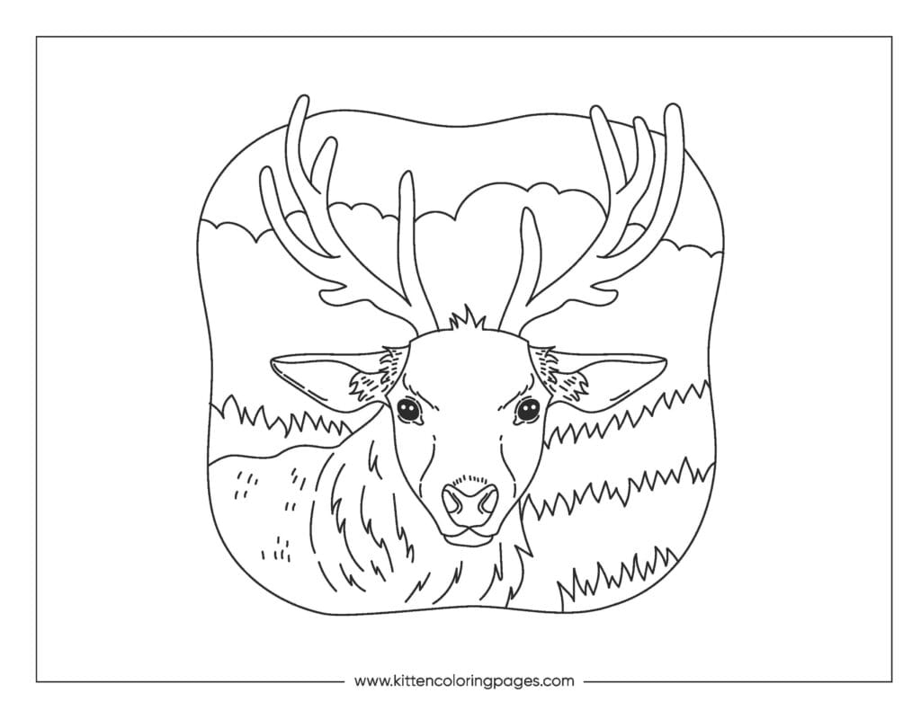 deer coloring pages 10