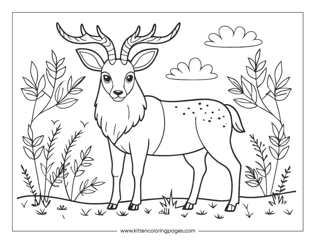 deer coloring pages 14