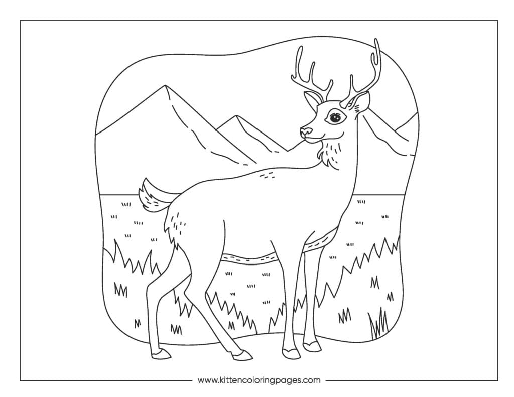 deer coloring pages 9