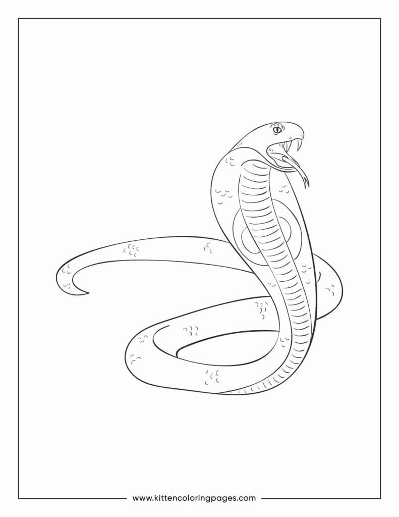 snake coloring pages 12