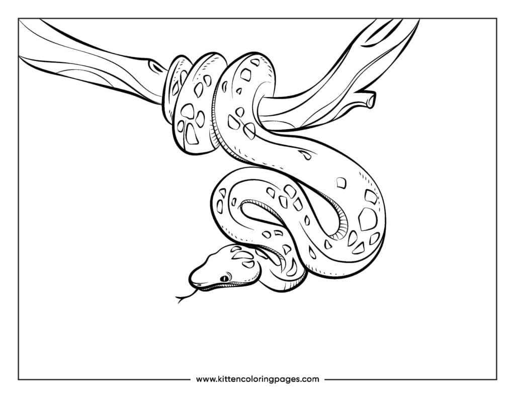 snake coloring pages 2
