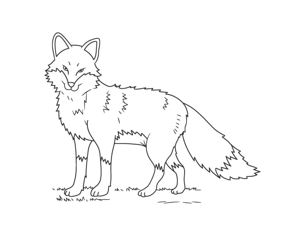 fox coloring pages 4