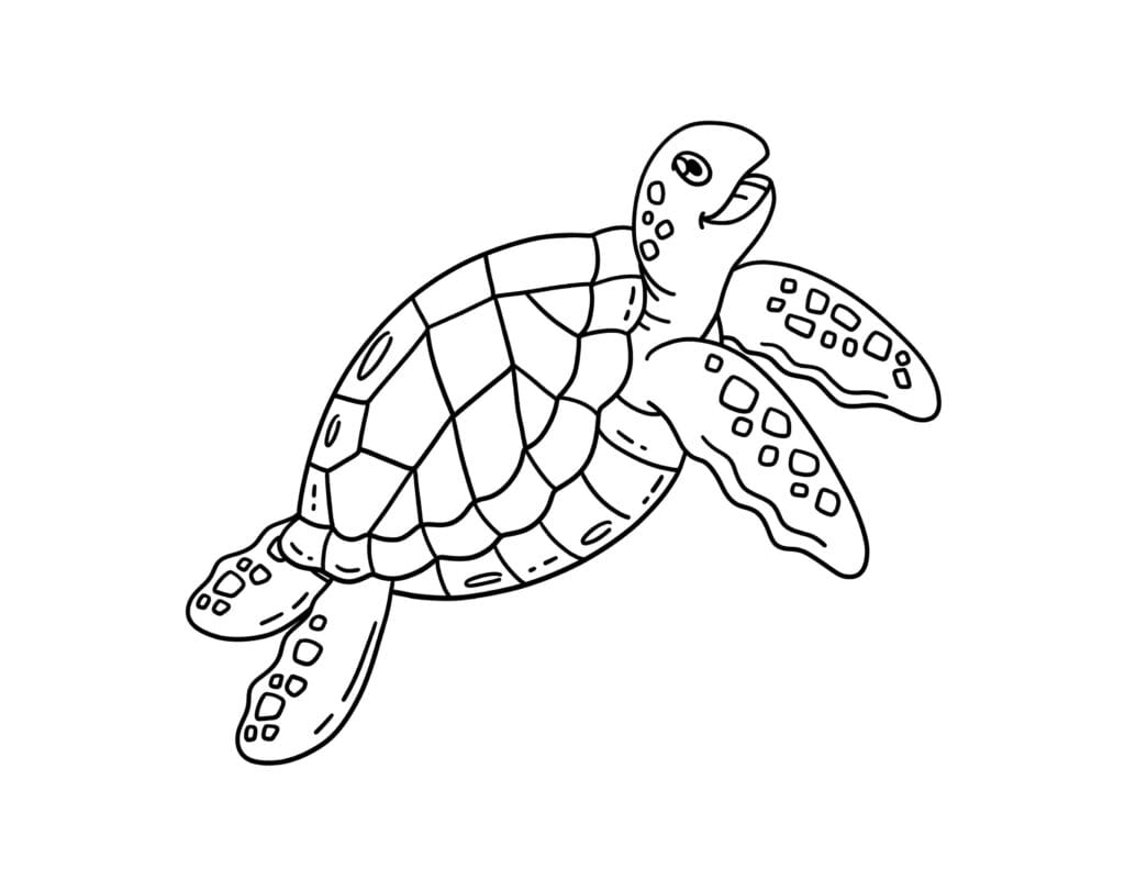 turtle coloring pages2