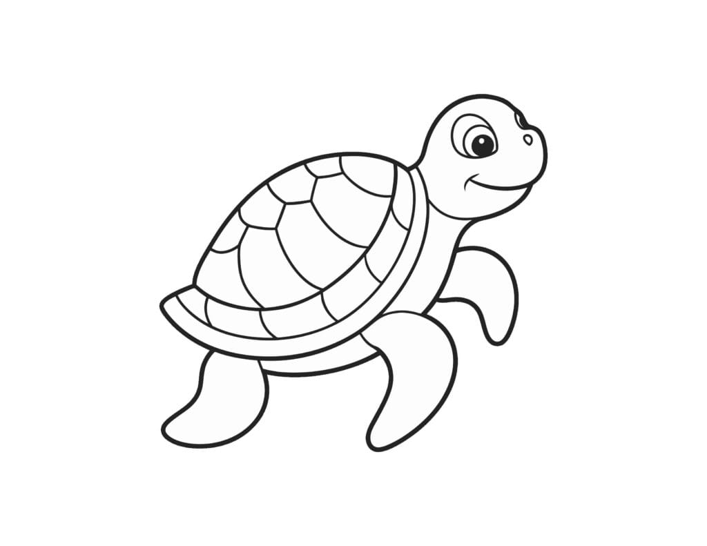turtle coloring pages3