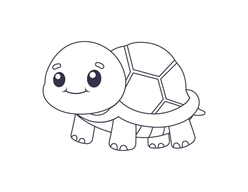 turtle coloring pages7