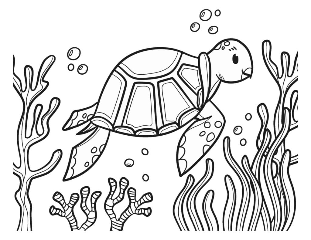 turtle coloring pages9